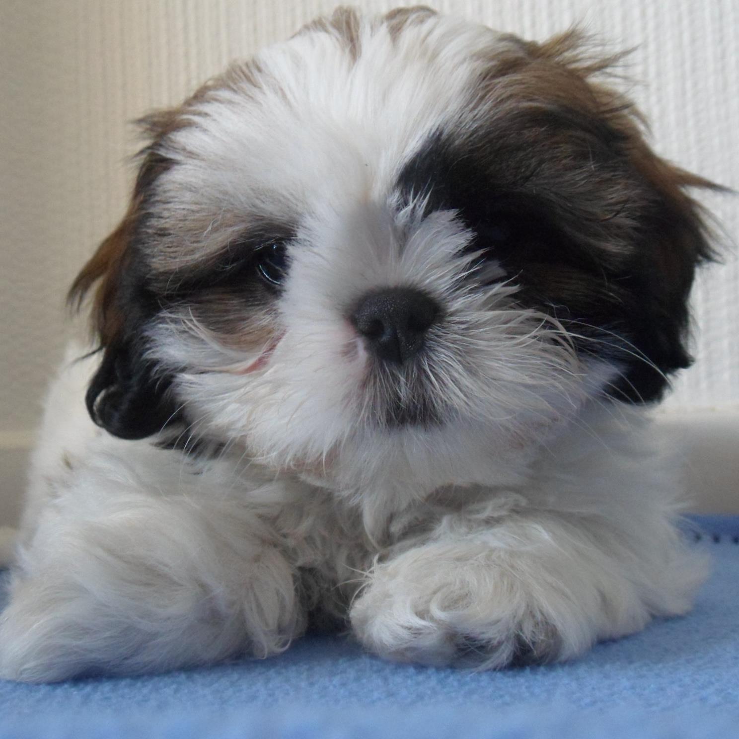 Emmanuelle93's profile picture. 