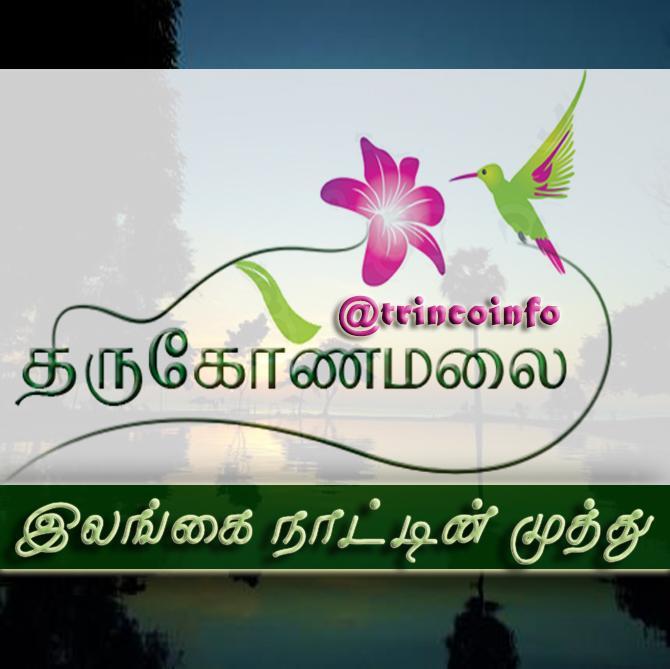 உண்மை தன்மை வாய்ந்த செய்திகளை உடனுக்குடனும் உங்கள் தொலைபேசியில் பெற்றுக் கொள்ள F trincoinfo என type செய்து 40404 க்கு அனுப்புங்கள்.