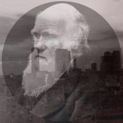 Tralalaovo's profile picture. 