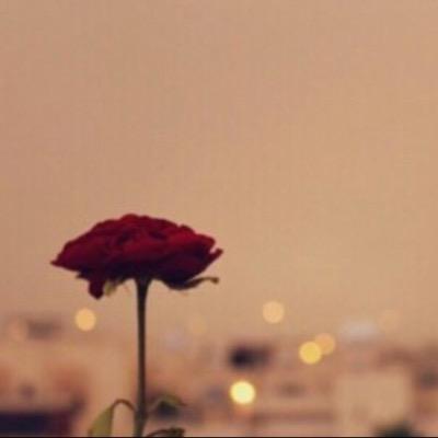 غيمه ان لم تمطرك لن تضرك 🌸