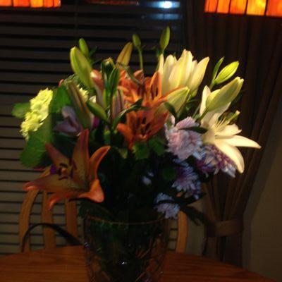 robin_yellow's profile picture. conservative, love country and heavy metal music. cowboys nation