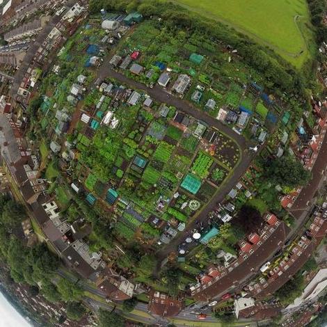 Wharncliffe is the smallest of Liverpool's allotments comprising of twenty highly productive plots.