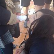 hjyoshikusei's profile picture. Hな女子高生載せていきますー！