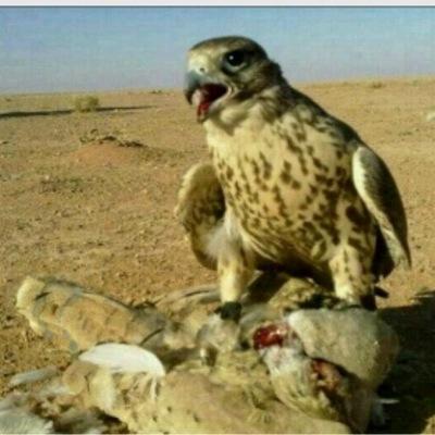تدري متى يلعب بك الفين وسواس ؛؛؛؛
        وتحس نفسك فاهم الناس توك ؛؛؛؛
اليا ظلمك انسان كان اقرب الناس ؛؛؛؛
      وانصفك شخص تحسب انه عدوك