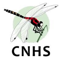 Carlisle Nats (@carlislenats) 's Twitter Profile Photo Carlisle Nats (@carlislenats) 's Twitter Profile Photo