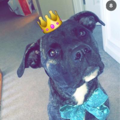 Treyberto180's profile picture. #TylerStrong