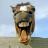 TalkingHorses1's profile image
