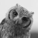 Nelly Jones - @jonesnelly00 - Twitter