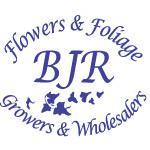 Growing Flowers in Cornwall since the 1800's  
Supplying Wholesalers & Florists in the SW and Nationwide 
#britishflowers