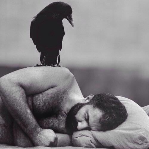 CirsiumArtes's profile picture. Om förbjudna minnen, nedtecknade under djup sömn.