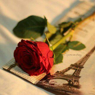 amoorh233's profile picture. ‏‏‏‏‏اﻷماني في رجا الله ماتخيب...........(الخاص مهمل )