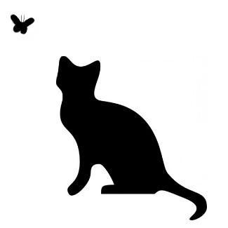 Bay Cat Rescue is a non-profit organisation in the Morecambe Bay area, run by volunteers to rescue and rehabiliatate feral and stray cats and kittens.