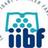 İİBF