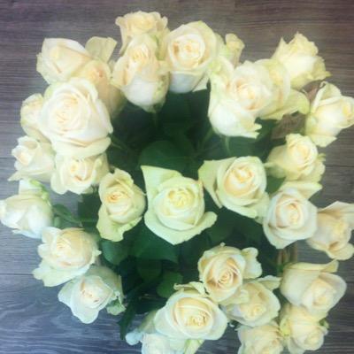 margheritaborgh's profile picture. 