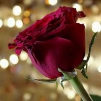 الحساب محذووف (@aam13231345678) 's Twitter Profile