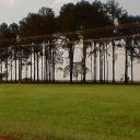 Estela Lopez Z. - @estelazanoni25 - Twitter