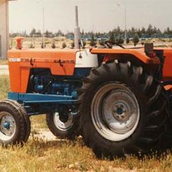 SiukSifc's profile picture. 