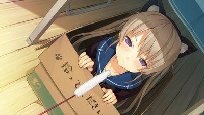 アニメ、えろげ、ギャルゲー、ラノベなどが好きです