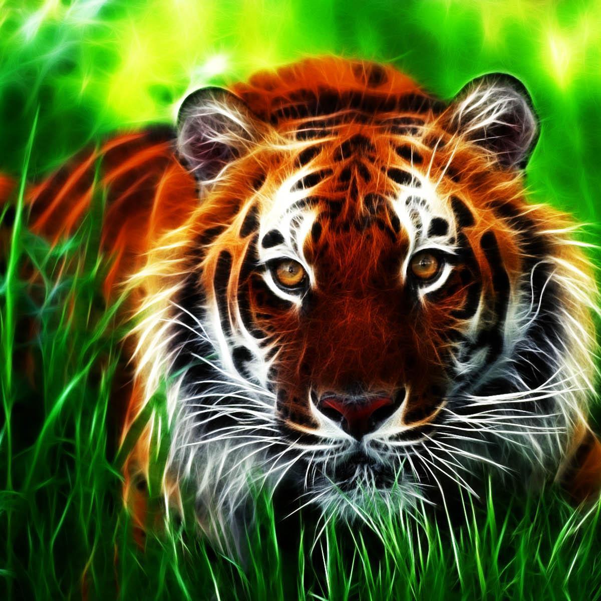 TigerGirl4353 Profile Picture