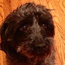 Debbie Silva - @DebbieSilva4 - Twitter