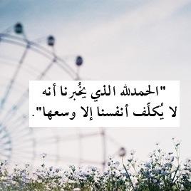 34taoh's profile picture. محذوف