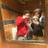 brockegarnett27's profile image