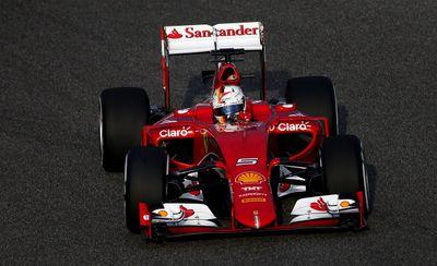 flyf1bird's profile picture. 