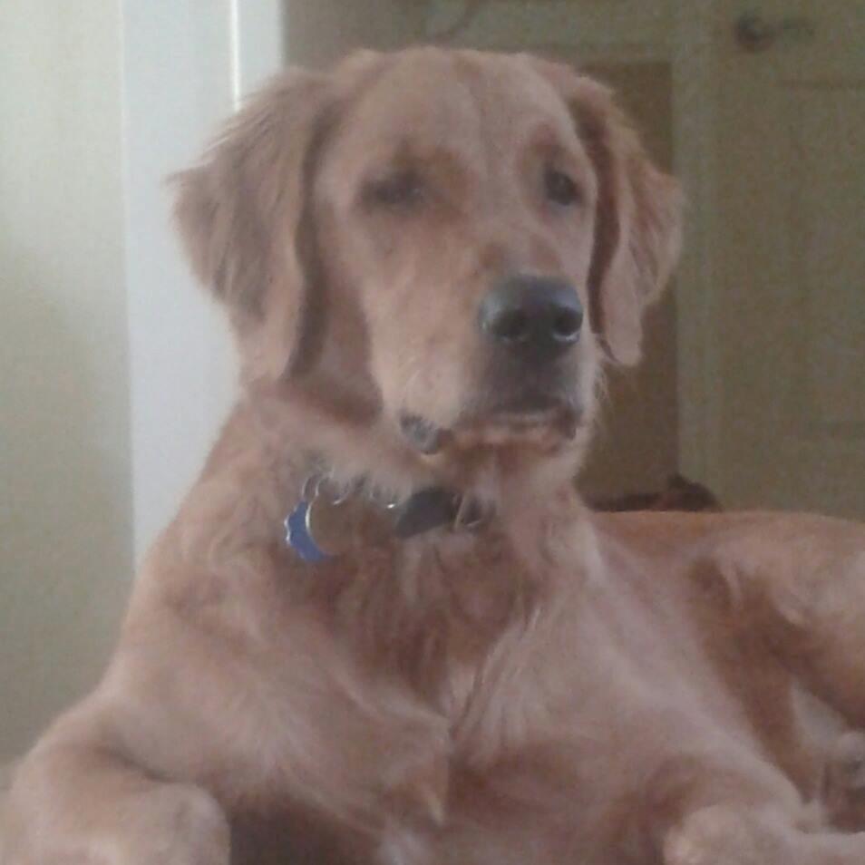 janssenkyle's profile picture. 