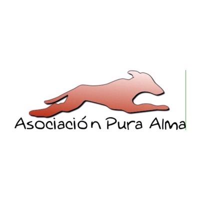 Alma15Pura's profile picture. Somos una asociación sin animo de lucro dedicada al rescate de  galgos.
