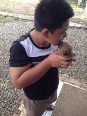 kelvin_tin's profile picture. 