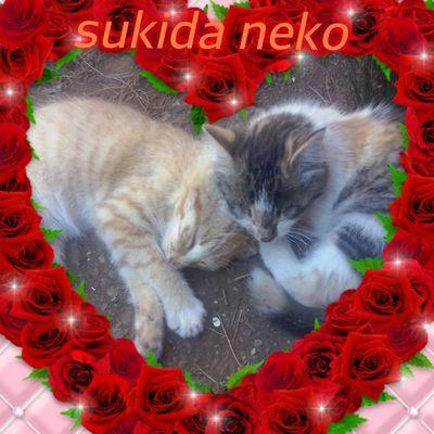 myu myu gente kawai ejejje