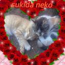 kimineko.11.7B (@11Kimineko) Twitter
