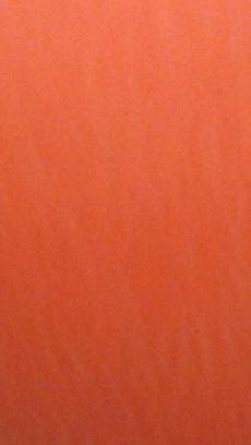 SchutterleDylan's profile picture. Zombies,minecraft,Call of duty,battlefield, titanfall,you name it i know how to play it. 
Facebook is Dylan schutterle much appreciation for all my followers!!!