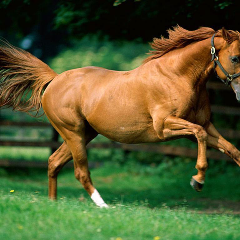 jsdurant's profile picture. ULA- UDO. Futbol, numeros, deportes y vida.