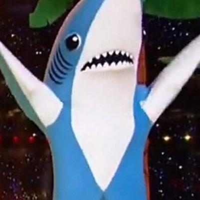 shark year