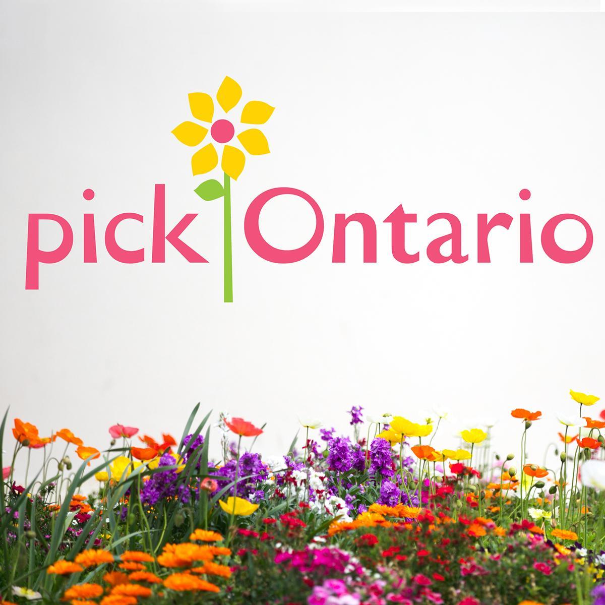 pickOntario represents the floral greenhouses and flower farmers of Ontario, raising awareness and demand for locally-grown cut flowers and potted plants.