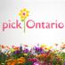 pickOntario (@pickontario) Twitter profile photo pickOntario (@pickontario) Twitter profile photo