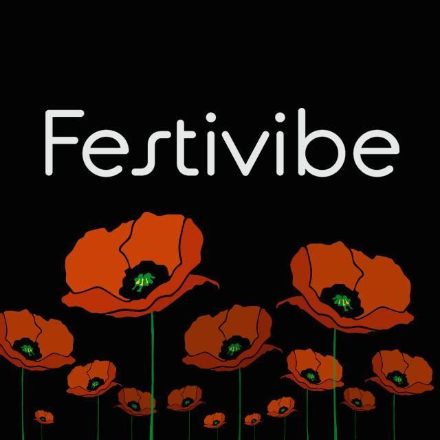 Festivibeteam Profile Picture