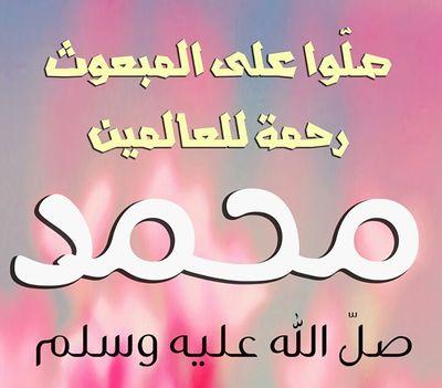 busalih13's profile picture. 