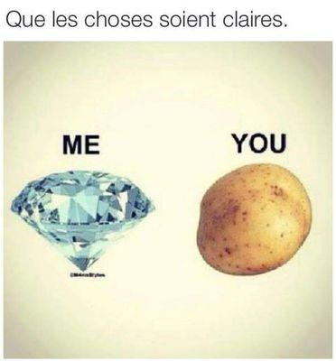 *L'enfer es vide,touts les demons sont ici. Si toutes les connasses etaits en rouge le monde serait un magnifique champs de coquelicots.*