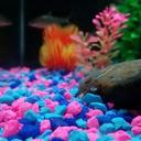 Kristopher Pérez - @kris_pR19 - Twitter