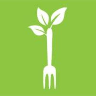 RHN Holistic Nutritionist