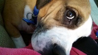 janellelwolfe's profile picture. Well behaved women seldom make history