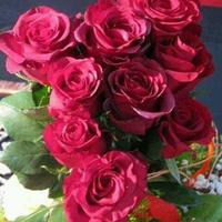 نوووف المورة (@gdfnfffgmailco2) 's Twitter Profile