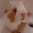 min2hime2's profile image