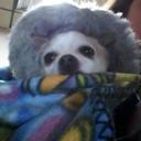 Kathy Lee (White) - @KathyWhiteLee - Twitter