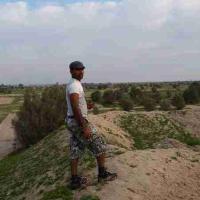 الصقر الجارح (@wathiq19691) 's Twitter Profile