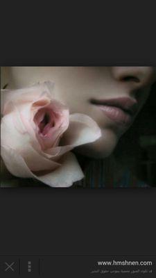 AmiraOqbi's profile picture. 
