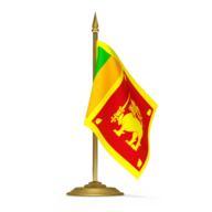 REEMAnews1st's profile picture. 