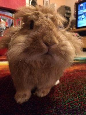 pbasiros's profile picture. 